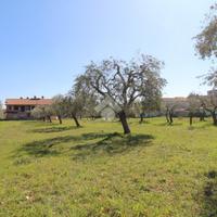 TER. RESIDENZIALE A CAMPLI