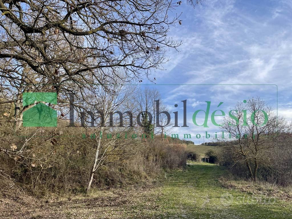 Rustico / Casale di 332 m² con più di 5 locali e b - Vista 4