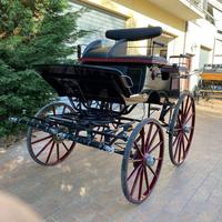 Carrozza mod Wagonette (045)