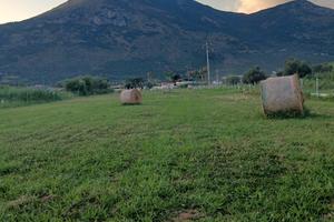 Terreno agricolo