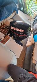 motore evinrude 40cv