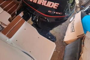 motore evinrude 40cv