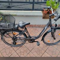 Bici elettrica 