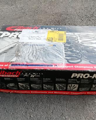 Molle Eibach Pro kit per Clio 3