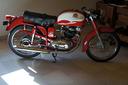 mondial-175