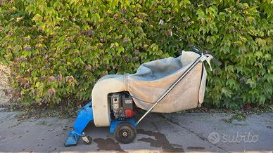 MOTOASPIRATORE/RACCOGLIFOGLIE