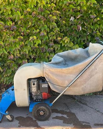 MOTOASPIRATORE/RACCOGLIFOGLIE