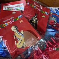 Costruiamo il corpo umano