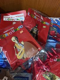 Costruiamo il corpo umano