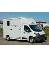 Van Trasporto Cavalli Pat B