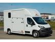 Van Trasporto Cavalli Pat B