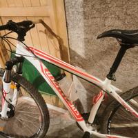 bici MTB HARDROCK 29