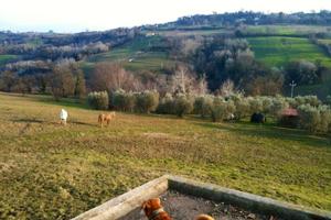 Villa di 770 m² con 5 locali a Calvi dell'Umbria