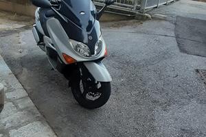 Tmax 500
