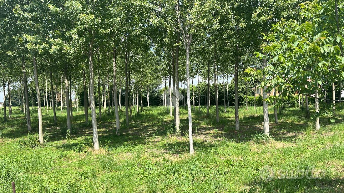 TER. RESIDENZIALE A BOFFALORA SOPRA TICINO - Vista 4