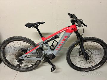 E-bike canton neuron on 8 XS WMN