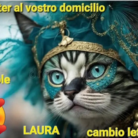 Assistenza a domicilio gatti