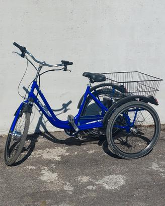triciclo elettrico Casadei