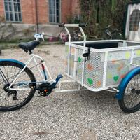 Bicicletta con cassone portabambini