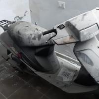 Suzzuki address per collezionisti