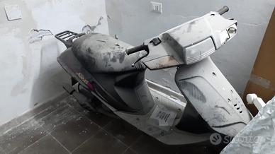 Suzzuki address per collezionisti