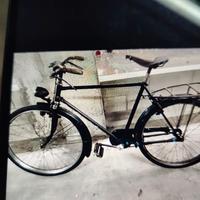 bianchi Pegasus 