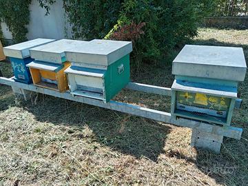 materiale apicoltura 