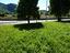 Immagine 12