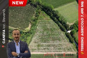 Caneva - Terreno agricolo 33K Rif. V99