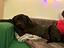 Immagine 2