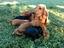 Immagine 4