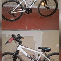 Bici 24" Dechaton bmx