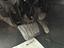 Immagine 23