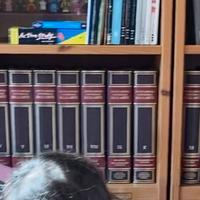 Enciclopedia Universale dell’arte De Agostini