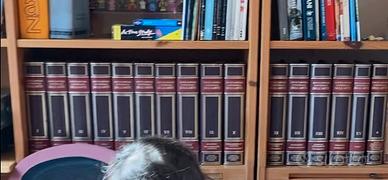 Enciclopedia Universale dell’arte De Agostini