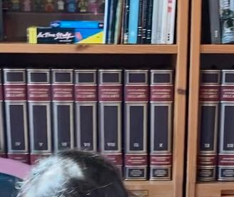 Enciclopedia Universale dell’arte De Agostini