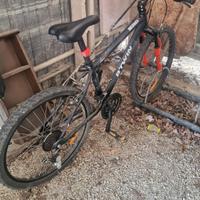bicicletta ragazzo