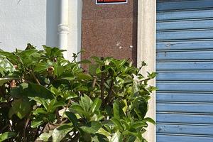 Appartamento Favara Viale Aldo Moro