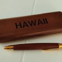 Penna legno Hawaii | Custodia