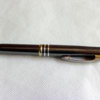 Elegante penna a sfera