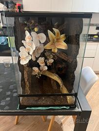 Terrario 40x40x60 per Gechi Arboricoli