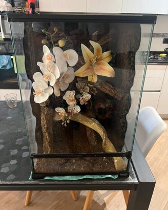Terrario 40x40x60 per Gechi Arboricoli