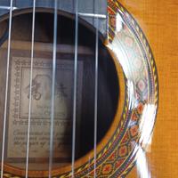 Chitarra Takamine modello cp 132s 