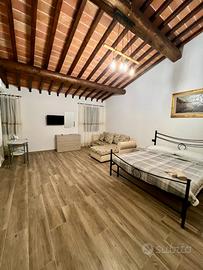STANZA SINGOLA ampia in zona Montelupo Fiorentino
