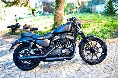 Harley-davidson sportster 883 iron
