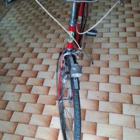 bici da passeggio 