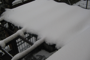 Zona Borgoratti 100 al Mese