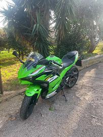 Kawasaki Ninja 500 SE
