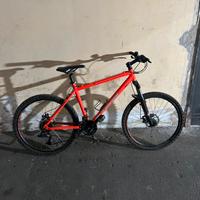 Bici MTB