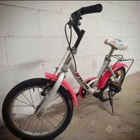 Bicicletta Vicini